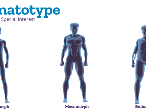 What is a Somatotype?